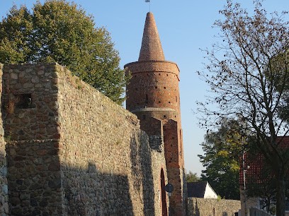 Cyklamen. Kwiaciarnia. Wojciechowski F., Kwiaciarnia w Strzelce Krajeńskie