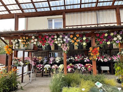 Kwiaciarnia Bratek - Edyta Świetlik, Kwiaciarnia w Łbiska