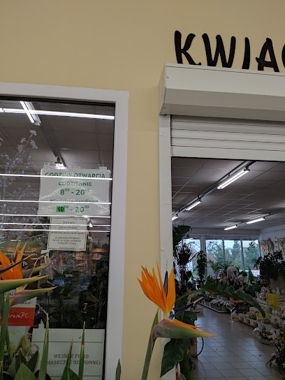 Kwiaciarnia ABC Lubaczów, Kwiaciarnia w Lubaczów