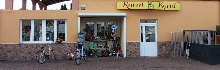 KORAL, Kwiaciarnia w Turośl