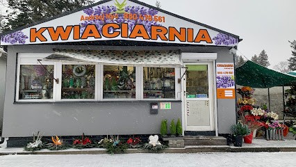 Kwiaciarnia Andrzej Nyc, Kwiaciarnia w Łódź