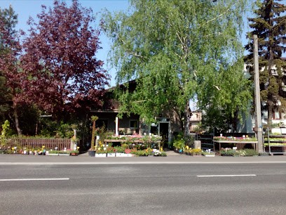 Kwiaty & Ogród. Kwiaciarnia, Kwiaciarnia w Ostrów Wielkopolski