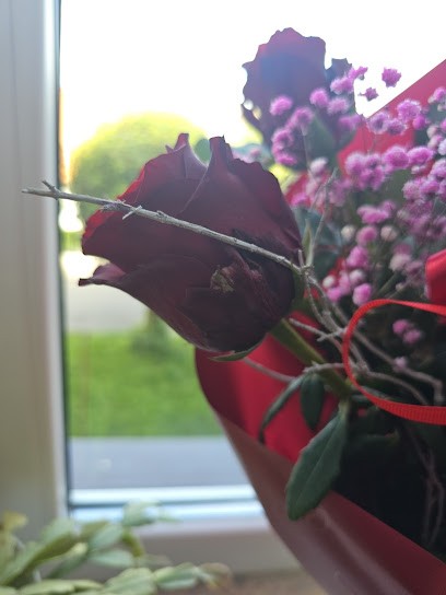 West Flowers. Kwiaciarnia, Kwiaciarnia w Kościerzyna