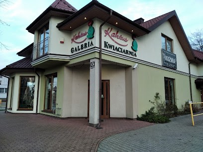 Kaktus. Kwiaciarnia. Szabłowska A., Kwiaciarnia w Ostrołęka