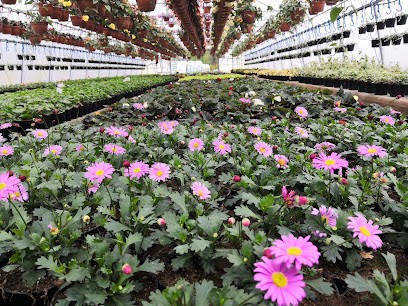 Ogrodnictwo Beata I Adam Kiedrowicz, Kwiaciarnia w Pęperzyn