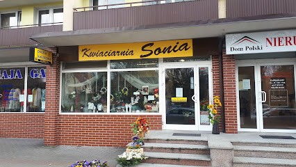 Sonia. Kwiaciarnia, Kwiaciarnia w Olecko