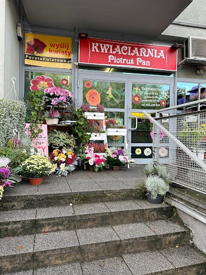 Florist Piotruś Pan, Kwiaciarnia w Warszawa