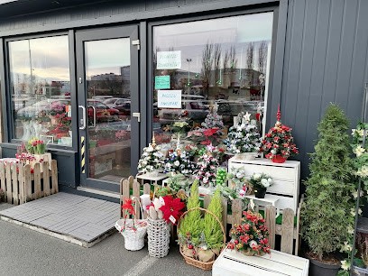 Usługi Florystyczne Mariola Piątkowska, Kwiaciarnia w Łódź