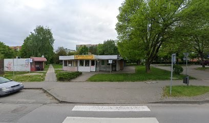 Kamelia. Kwiaciarnia. Jędrzejewska B., Kwiaciarnia w Sandomierz