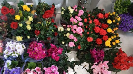 Kwiaciarnia Amelia, Kwiaciarnia w Sędziszów Małopolski