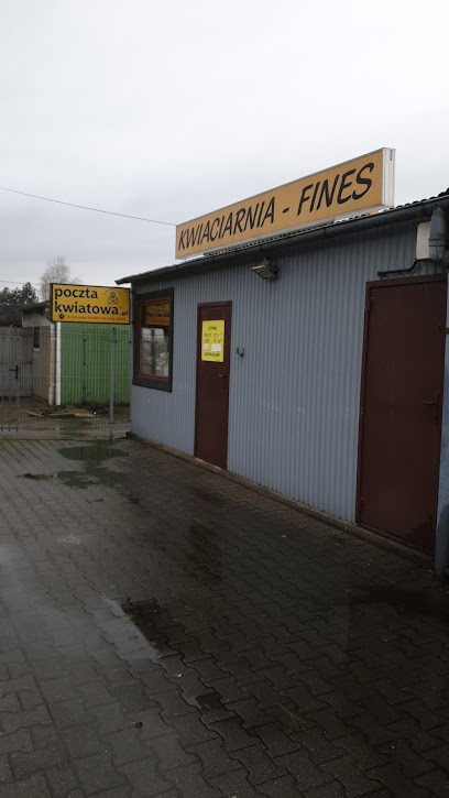 Florist FINES Krzysztof Warzecha, Kwiaciarnia w Katowice