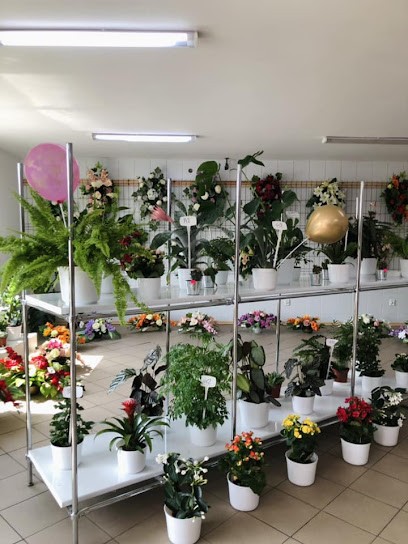 Kwiatki U Renatki - Kwiaciarnia, Kwiaciarnia w Świercze