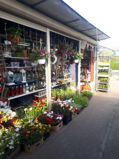 F.H Szafir, Kwiaciarnia w Katowice