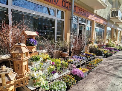 Zaczarowany ogród Pinka Kwiaciarnia, Kwiaciarnia w Gdynia