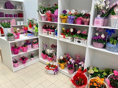 Prezentowe Love - kwiaciarnia, Kwiaciarnia w Lubartów