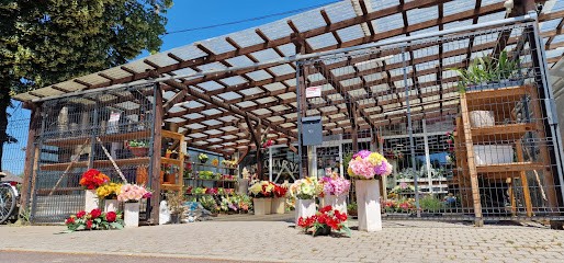 Kwiaciarnia Ocicka, Kwiaciarnia w Racibórz