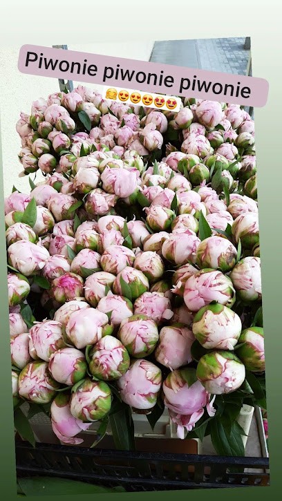 Kwiaty kwiatykosinscy, Kwiaciarnia w Warszawa