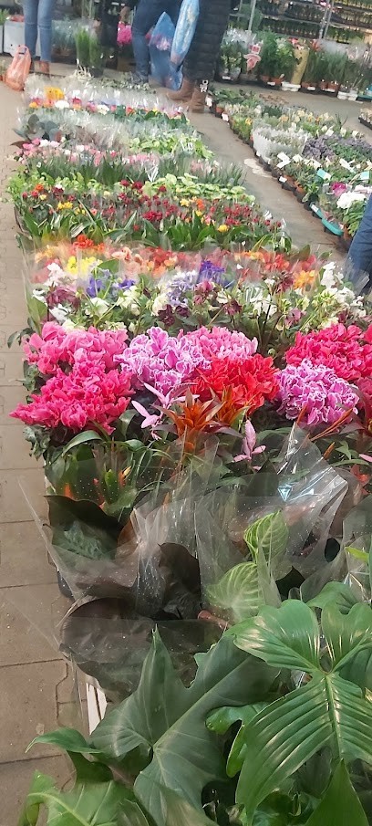 F.P.H.U. Szwedzio Krzysztof Szwed, Kwiaciarnia w Biertowice