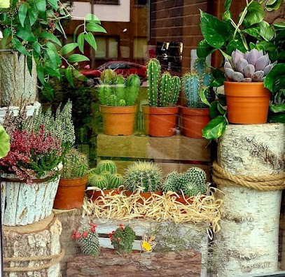 Kwiaciarnia „Kaktus”, Kwiaciarnia w Warszawa