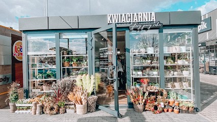 Kwiaciarnia Cztery Pory Roku Mateusz Wesołowski, Kwiaciarnia w Wieluń