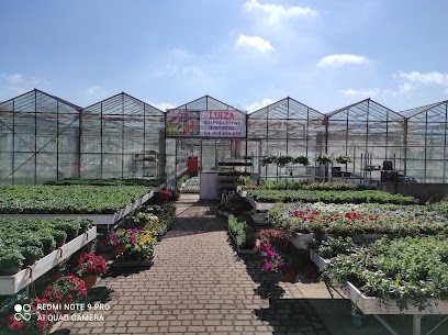 Ogrodnictwo Luiza, Kwiaciarnia w Nowogard