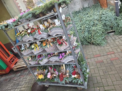 Kwiaty i krzewy ozdobne Amis Projektowanie i pielęgnacja ogrodów, Kwiaciarnia w Banie