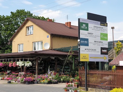 Stokrotka33 Kwiaciarnia, Kwiaciarnia w Łbiska