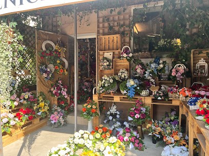 Kwiaty U Małgorzaty, Kwiaciarnia w Legnica