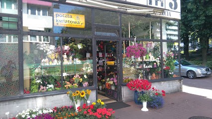 Mercedes s.c. Kwiaciarnia, Kwiaciarnia w Katowice