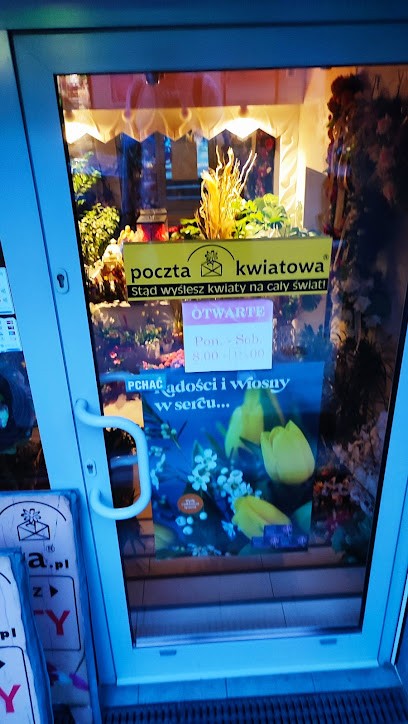 Florist Morning Dew Flower Mail, Kwiaciarnia w Przemyśl
