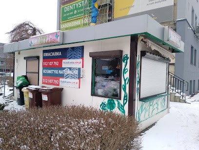 Kwiaty u Basi - kwiaciarnia, bukiety ślubne i okolicznościowe, Kwiaciarnia w Ruda Śląska