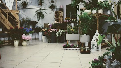 Majewska dekoracje, Kwiaciarnia w Rawa Mazowiecka