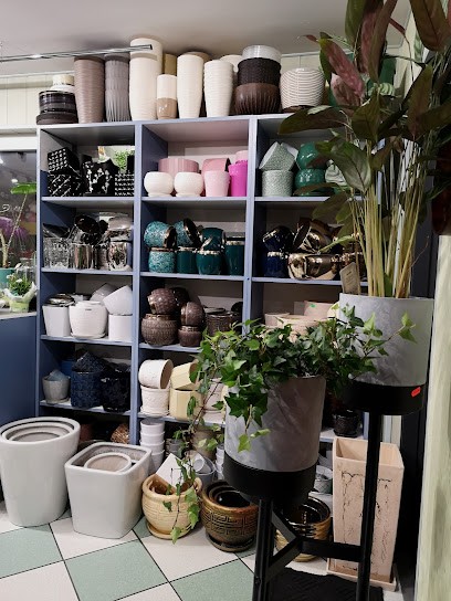 Stokrotka. Kwiaciarnia. Krahel B., Kwiaciarnia w Dąbrowa Białostocka