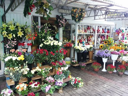 PROMETEO, Kwiaciarnia w Gdańsk