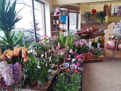 Kwiaciarnia Lucyna, Kwiaciarnia w Węgierska Górka
