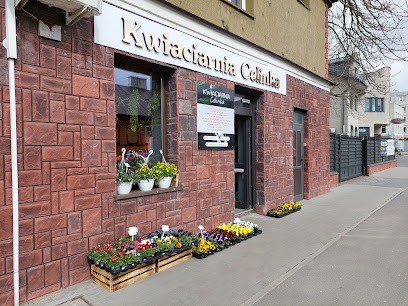 KWIACIARNIA CELINKA, Kwiaciarnia w Ostrów Mazowiecka