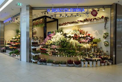 Kwiaciarnia H. Skrzydlewska, Kwiaciarnia w Łódź