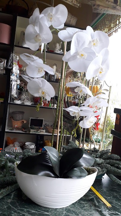 Florist's Kozanów, Kwiaciarnia w Wrocław