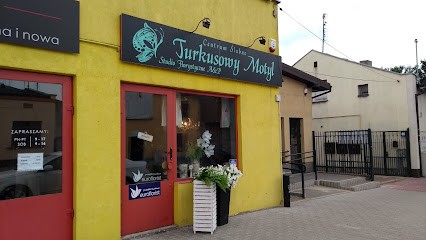 Studio Florystyczne Turkusowy Motyl, Kwiaciarnia w Tomaszów Mazowiecki