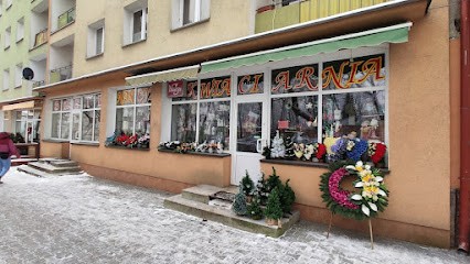 Narcyz. Kwiaciarnia. Truszkowska H., Kwiaciarnia w Olecko