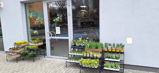 Kwiaciarnia Pod Skrzydłami Dęblin, Kwiaciarnia w Dęblin