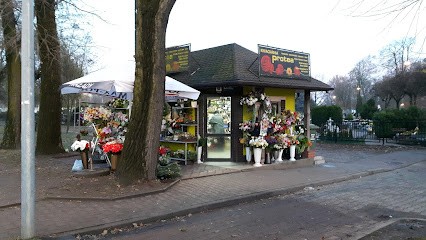 Kwiaciarnia Protea, Kwiaciarnia w Oleśnica