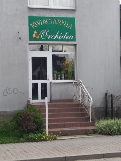 Orchidea. Kwiaciarnia. Jurkiewicz D., Kwiaciarnia w Nowy Targ