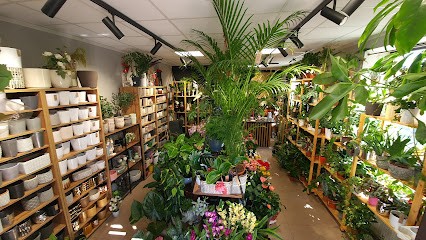 Kwiaciarnia Róża Dekoracje Leżajsk, Rzeszów, Łańcut, Nisko, Stalowa Wola, Biłgoraj, Kwiaciarnia w Leżajsk