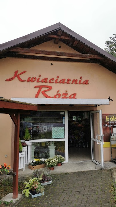 Kwiaciarnia Róża, Kwiaciarnia w Jastrzębie-Zdrój