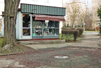 Kwiaciarnia koło Kina Kosmos, Kwiaciarnia w Katowice