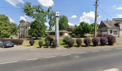 Pawilon ogrodniczo - rolny, Kwiaciarnia w Sierpc