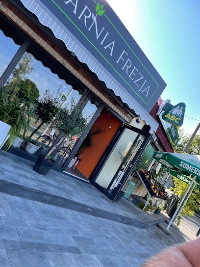 Kwiaciarnia Frezja, Kwiaciarnia w Szczecin