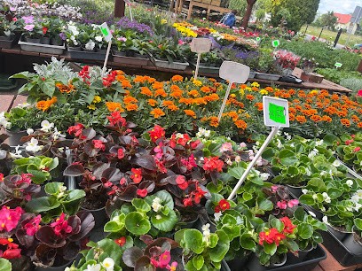 Bastek. Kwiaciarnia. Warzecha B., Kwiaciarnia w Dobrzeń Wielki