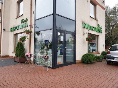 Wanda. Kwiaciarnia, Kwiaciarnia w Bełchatów